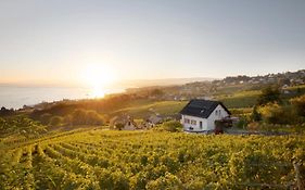 #Lavaux
